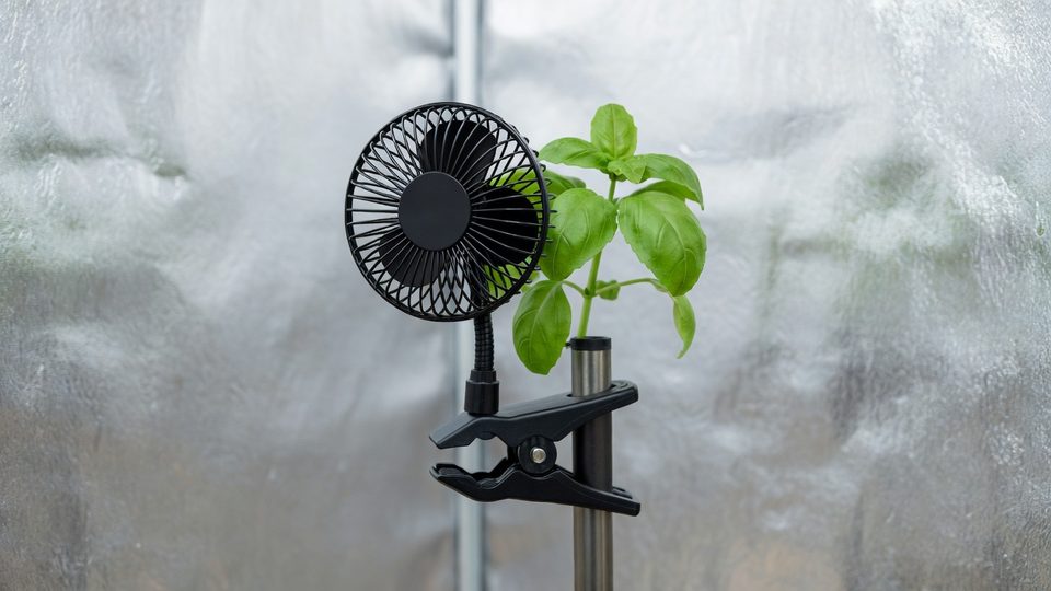 Clip fan in situ